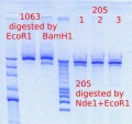Thumbnail for version as of 11:38, 20 April 2012