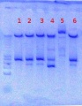 Thumbnail for version as of 14:28, 17 August 2012