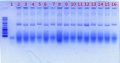 Thumbnail for version as of 10:13, 7 June 2012