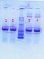 Thumbnail for version as of 19:02, 11 June 2012