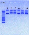 Thumbnail for version as of 14:49, 11 March 2013