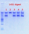 Thumbnail for version as of 14:05, 24 October 2012
