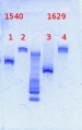 Thumbnail for version as of 15:40, 4 February 2013