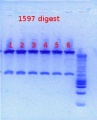 Thumbnail for version as of 12:50, 9 January 2013