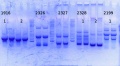 Thumbnail for version as of 15:16, 24 September 2014