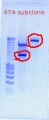 Thumbnail for version as of 14:56, 21 November 2011
