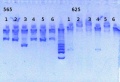 Thumbnail for version as of 16:45, 1 May 2013