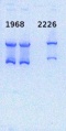 Thumbnail for version as of 10:51, 12 June 2014