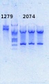 Thumbnail for version as of 12:32, 18 March 2014