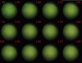 Thumbnail for version as of 14:58, 8 December 2011