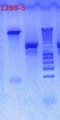 Thumbnail for version as of 13:37, 14 November 2012