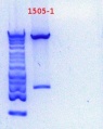 Thumbnail for version as of 15:04, 27 December 2012