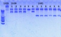 Thumbnail for version as of 15:46, 1 March 2013