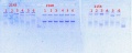 Thumbnail for version as of 14:28, 23 April 2014