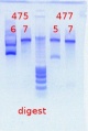 Thumbnail for version as of 16:18, 15 December 2011