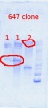 Thumbnail for version as of 13:32, 11 July 2013