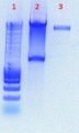 Thumbnail for version as of 14:51, 14 July 2011