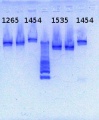 Thumbnail for version as of 14:16, 8 April 2013