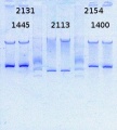 Thumbnail for version as of 11:05, 25 March 2014