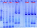Thumbnail for version as of 14:37, 2 October 2012