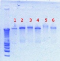 Thumbnail for version as of 14:42, 29 June 2012