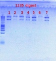 Thumbnail for version as of 15:25, 25 June 2012