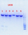 Thumbnail for version as of 15:59, 13 September 2013