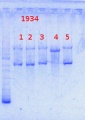 Thumbnail for version as of 11:51, 13 December 2013