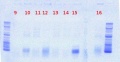 Thumbnail for version as of 10:43, 7 June 2012