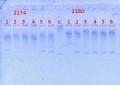 Thumbnail for version as of 16:14, 9 April 2014