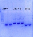 Thumbnail for version as of 12:23, 22 August 2014