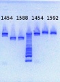 Thumbnail for version as of 14:26, 8 April 2013