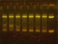 Thumbnail for version as of 10:50, 8 July 2014