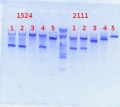 Thumbnail for version as of 09:49, 14 March 2014