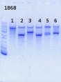Thumbnail for version as of 11:03, 29 October 2013