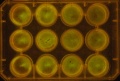 Thumbnail for version as of 11:53, 11 January 2012