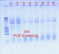 Thumbnail for version as of 16:20, 20 April 2012