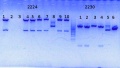 Thumbnail for version as of 15:18, 12 June 2014