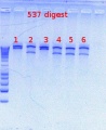 Thumbnail for version as of 15:38, 5 July 2012