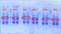 Thumbnail for version as of 13:39, 17 September 2012