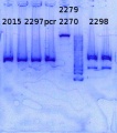 Thumbnail for version as of 14:14, 8 August 2014