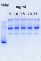 Thumbnail for version as of 15:59, 30 September 2013