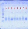 Thumbnail for version as of 12:26, 12 July 2012