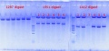 Thumbnail for version as of 13:33, 4 October 2012