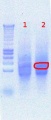 Thumbnail for version as of 14:15, 13 August 2012