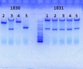 Thumbnail for version as of 09:37, 21 August 2013