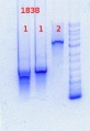 Thumbnail for version as of 11:20, 6 September 2013