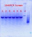 Thumbnail for version as of 15:02, 21 February 2014