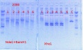 Thumbnail for version as of 13:20, 20 March 2014