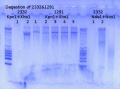 Thumbnail for version as of 14:54, 5 May 2015